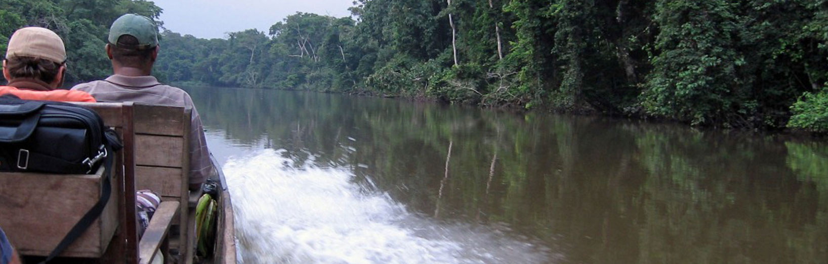 Luxury Safaris in the Congo