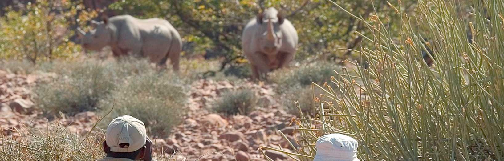 Desert Rhino Camp